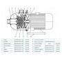 Многоступенчатый насос CNP CHL 4-40 LDWSR Многоступенчатый насос CNP CHL 4-40 LDWSR