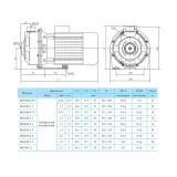 Центробежный поверхностный насос CNP MS 330/2,2 SSC