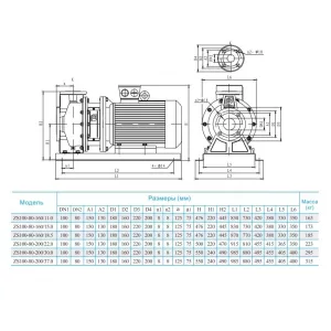 Консольно-моноблочный насос CNP ZS 100-80-200/30 SSC (ЦНП) Консольно-моноблочный насос CNP ZS 100-80-200/30 SSC (ЦНП)